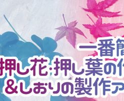 落ち葉 の記事一覧 男性保育士あつみ先生の保育日誌 おすすめ絵本と制作アイデア